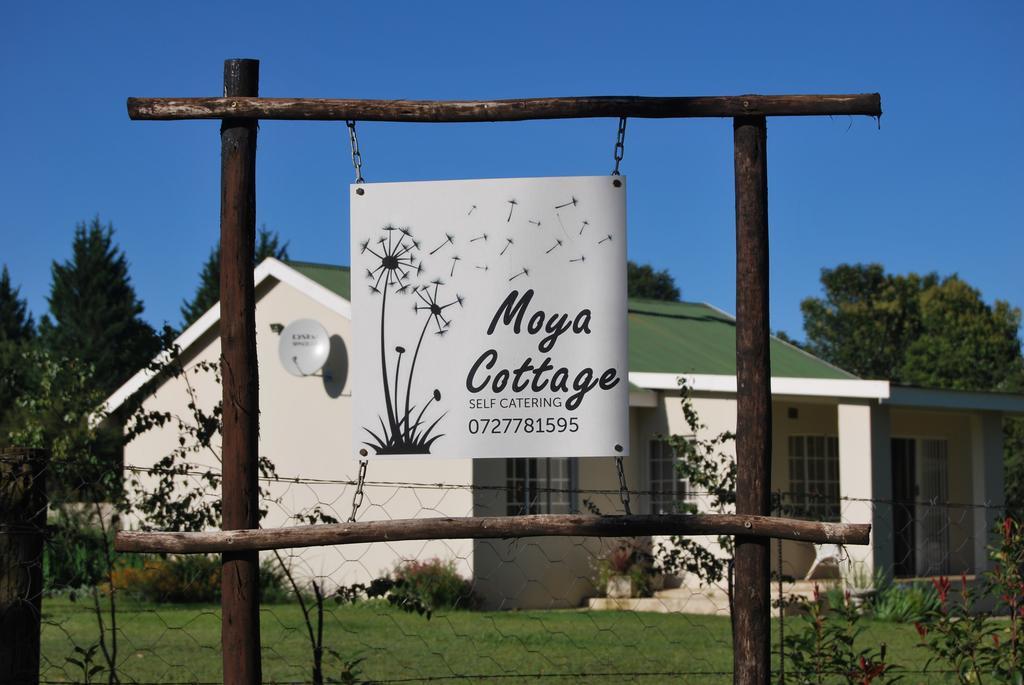 Moya Cottage Underberg Rum bild